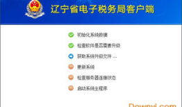 河北省电子税务局,便捷高效纳税服务新体验